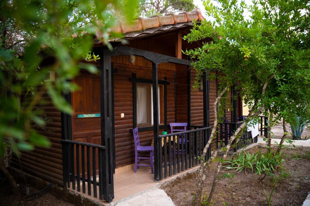 Koala Bungalows Olympos Kültér fotó