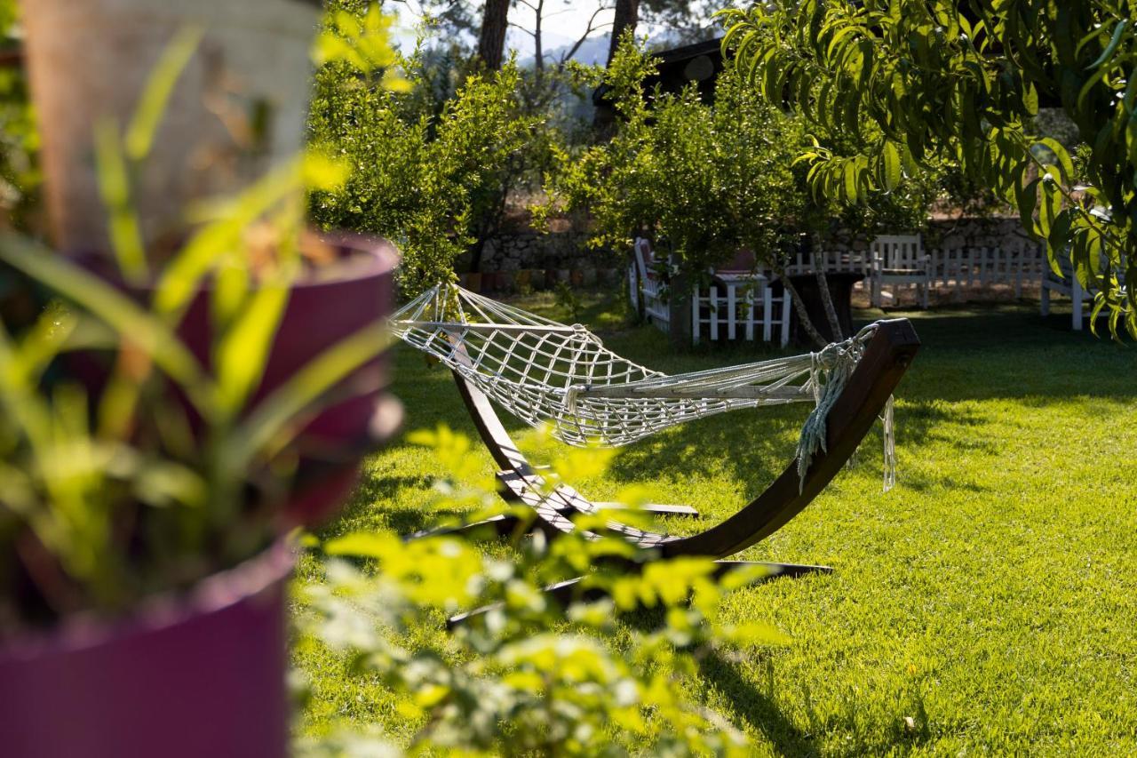 Koala Bungalows Olympos Kültér fotó