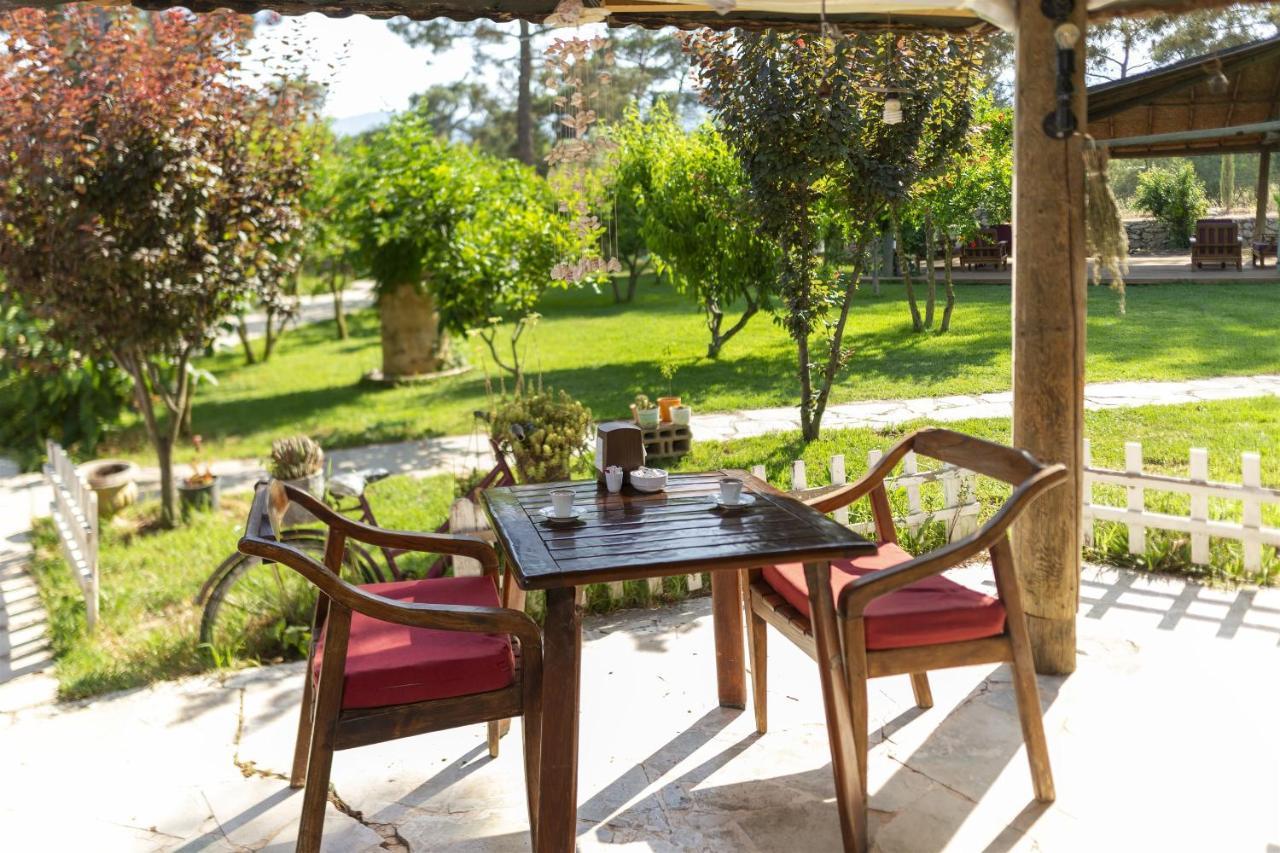 Koala Bungalows Olympos Kültér fotó