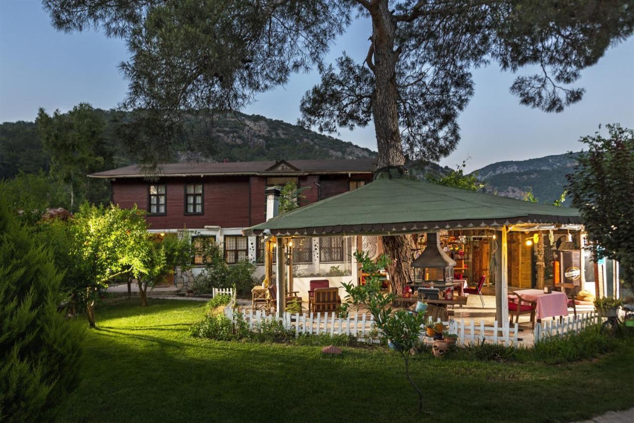 Koala Bungalows Olympos Kültér fotó