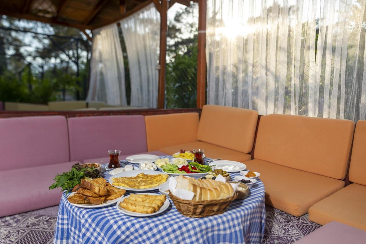 Koala Bungalows Olympos Kültér fotó