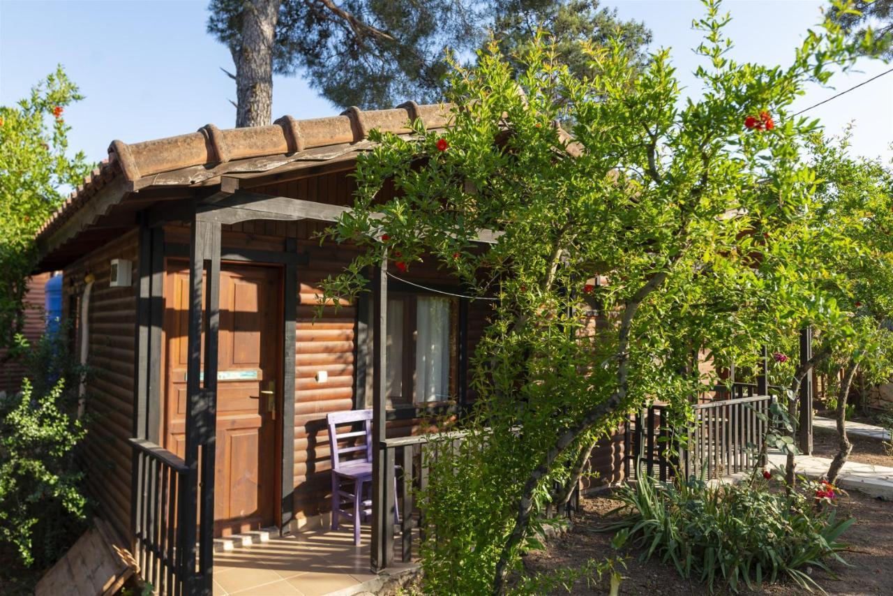 Koala Bungalows Olympos Kültér fotó