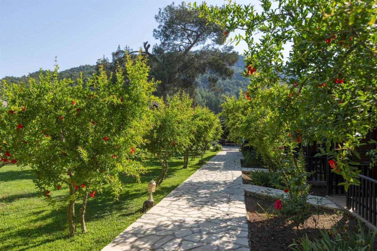 Koala Bungalows Olympos Kültér fotó