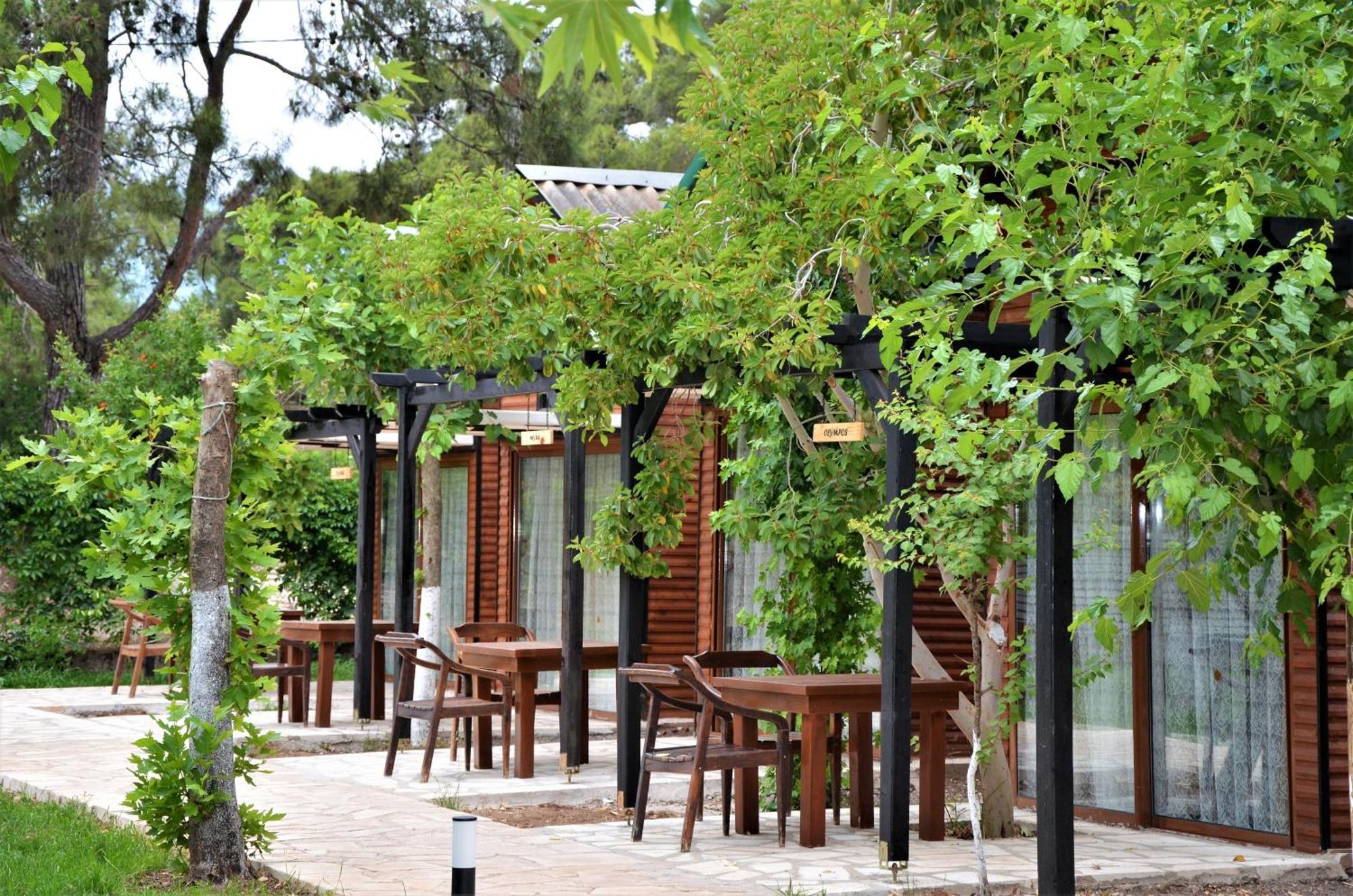 Koala Bungalows Olympos Kültér fotó