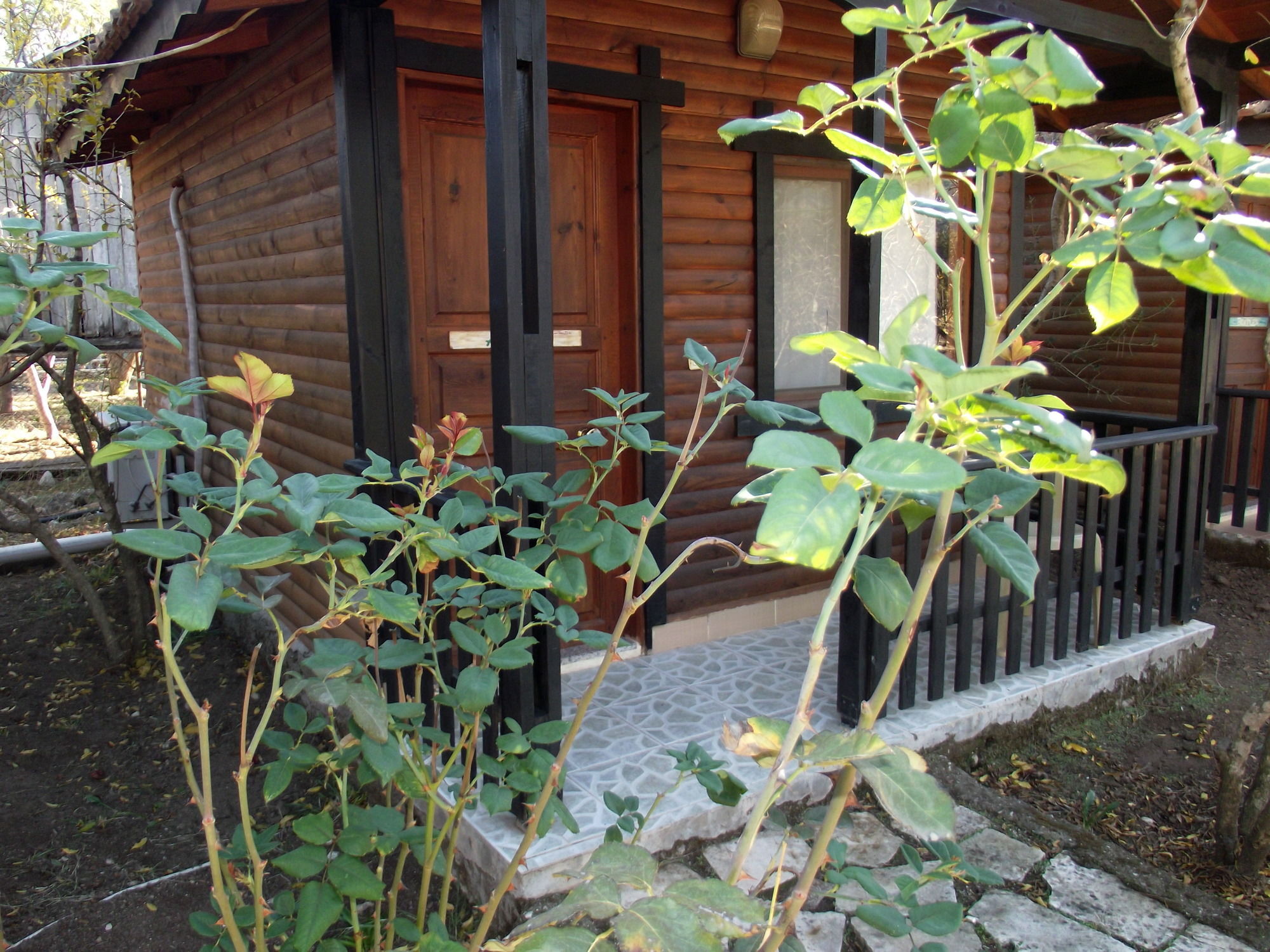 Koala Bungalows Olympos Kültér fotó
