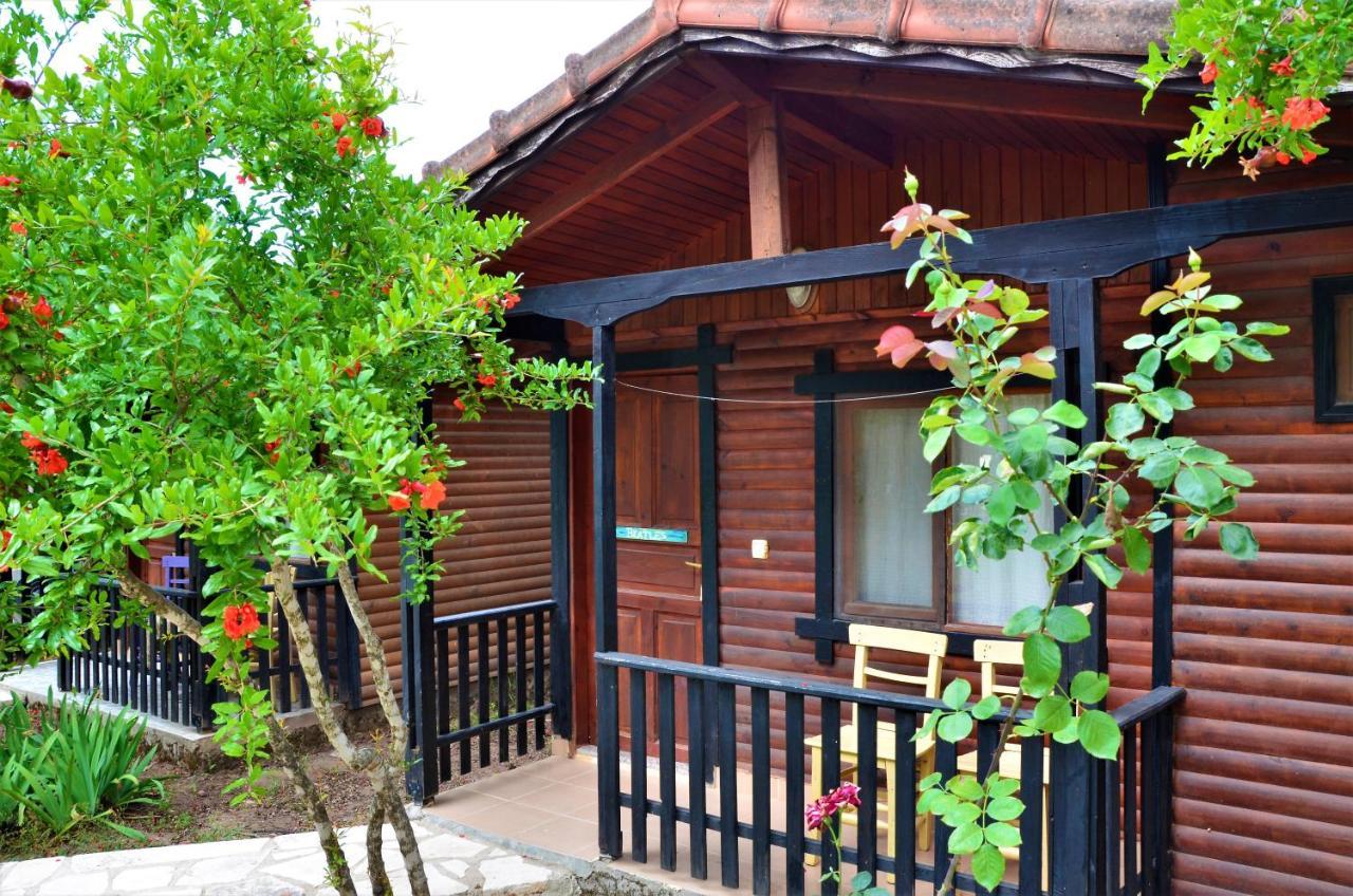 Koala Bungalows Olympos Kültér fotó